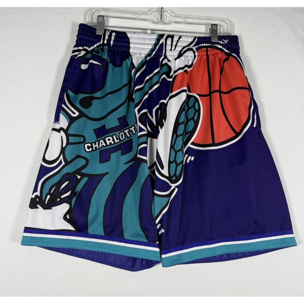 Mitchell & Ness Teal Charlotte Hornets Big Face Classics Shorts Men Large Purple